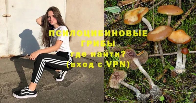 Галлюциногенные грибы MAGIC MUSHROOMS  купить   Лахденпохья 